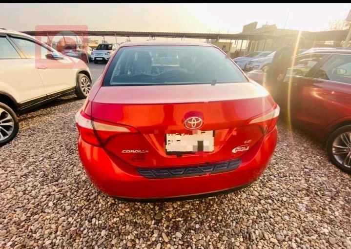 تويوتا كورولا